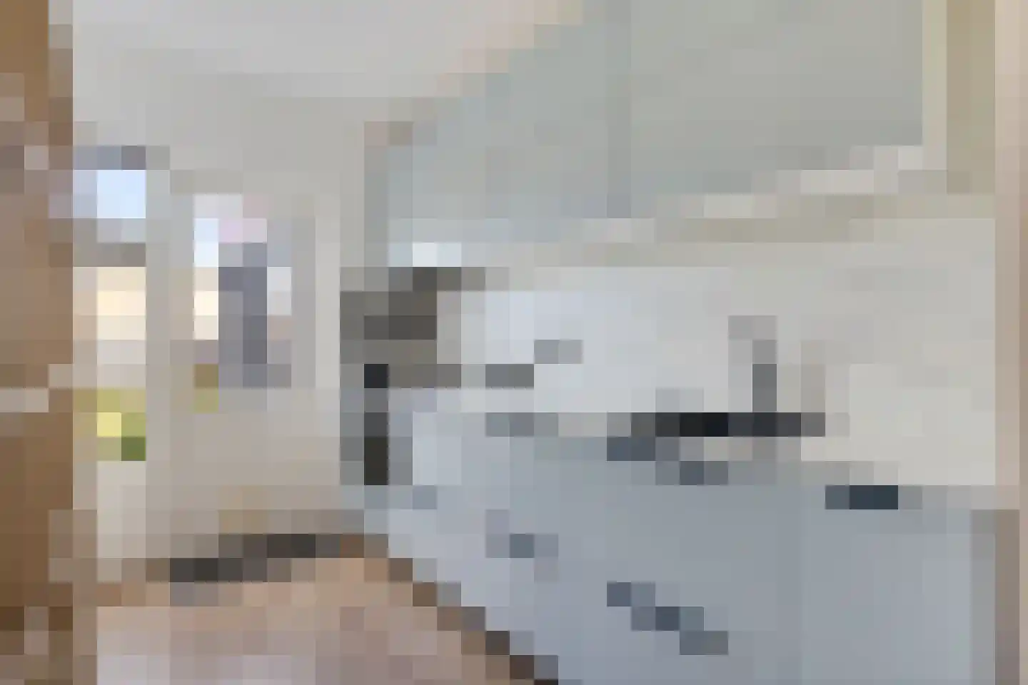 Ratelaar 3 Heerenveen thumbnail 8