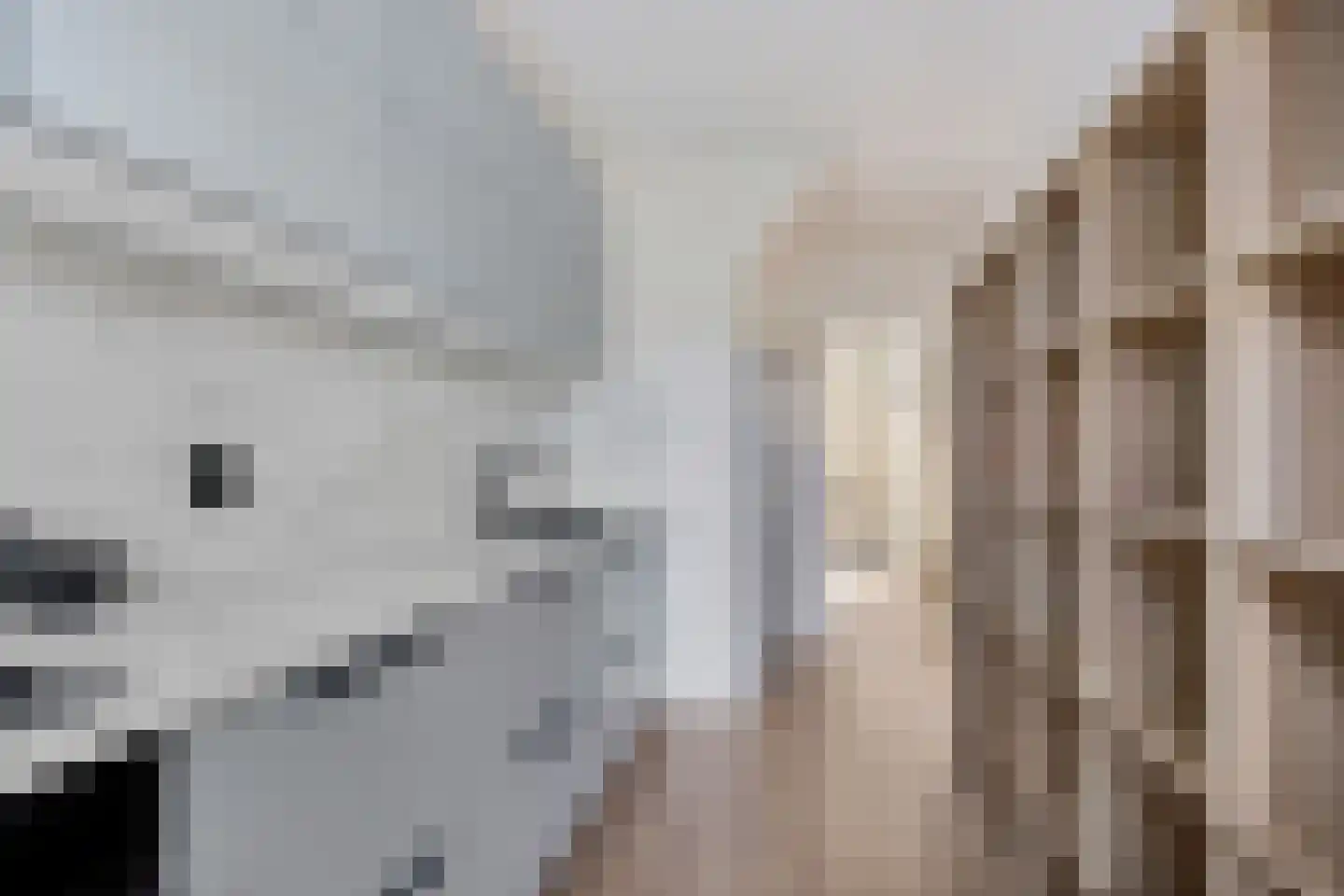 Ratelaar 3 Heerenveen thumbnail 9