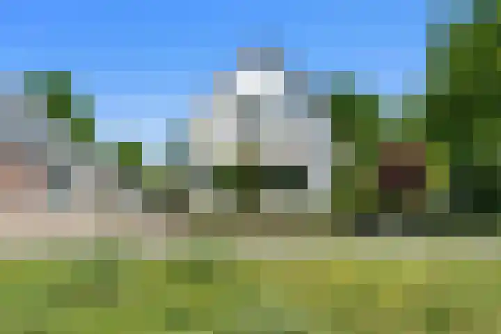 Ratelaar 3 Reeuwijk thumbnail 12