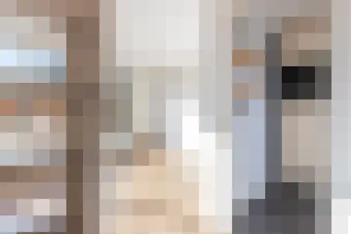 Ratelaar 3 Reeuwijk thumbnail 12