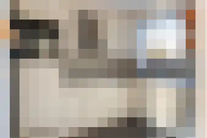 Ratelaar 3 Reeuwijk thumbnail 14