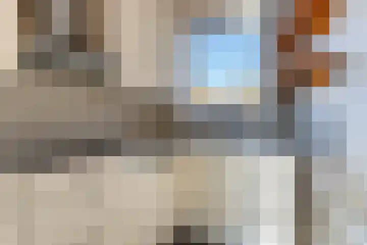 Ratelaar 3 Reeuwijk thumbnail 16