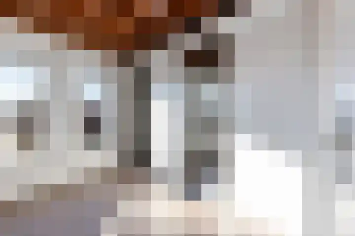Ratelaar 3 Reeuwijk thumbnail 20