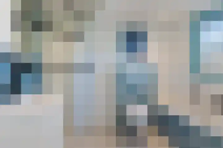 Ratelaar 3 Reeuwijk thumbnail 26