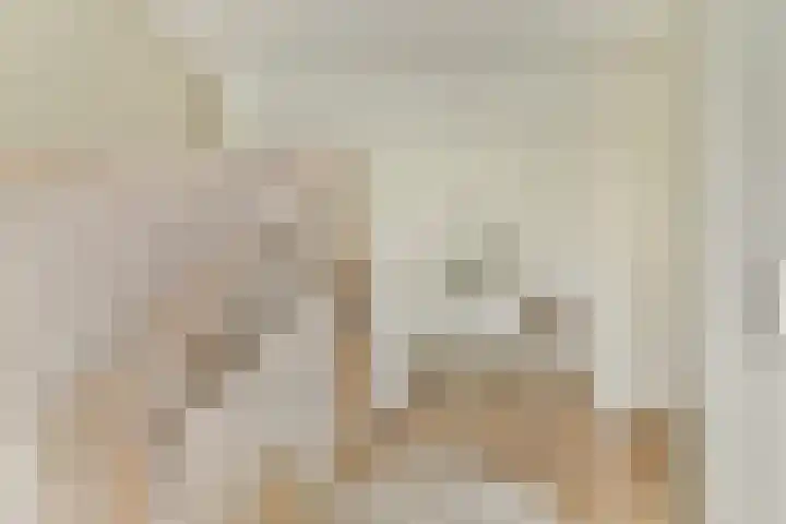 Ratelaar 3 Reeuwijk thumbnail 28