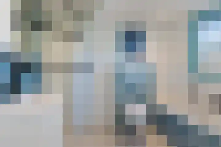 Ratelaar 3 Reeuwijk foto 3