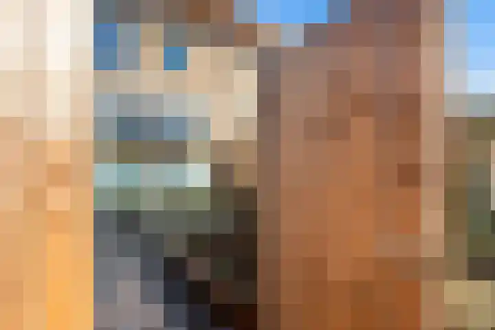 Ratelaar 3 Reeuwijk thumbnail 36