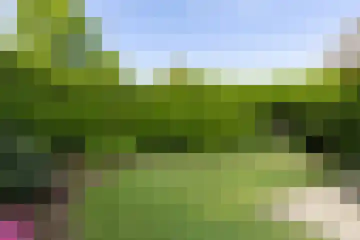 Ratelaar 3 Reeuwijk thumbnail 39