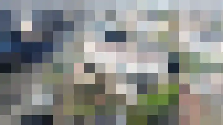 Ratelaar 3 Reeuwijk thumbnail 42