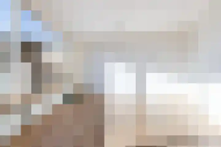 Ratelaar 3 Reeuwijk thumbnail 9