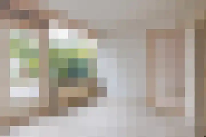 Ratelaar 32 Apeldoorn thumbnail 10