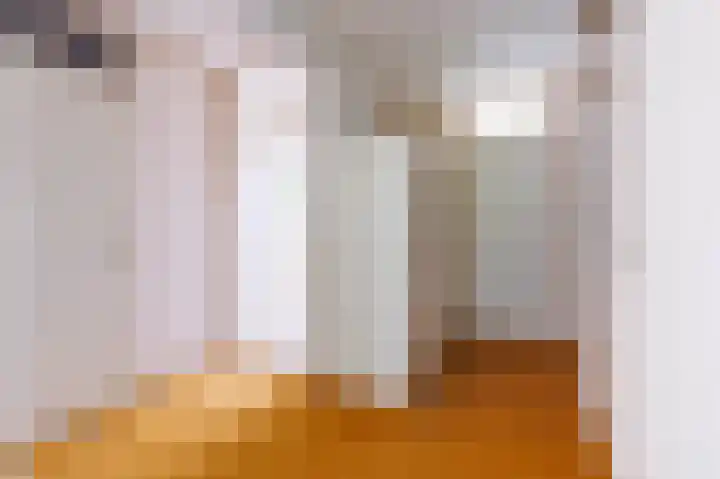 Ratelaar 32 Apeldoorn thumbnail 12