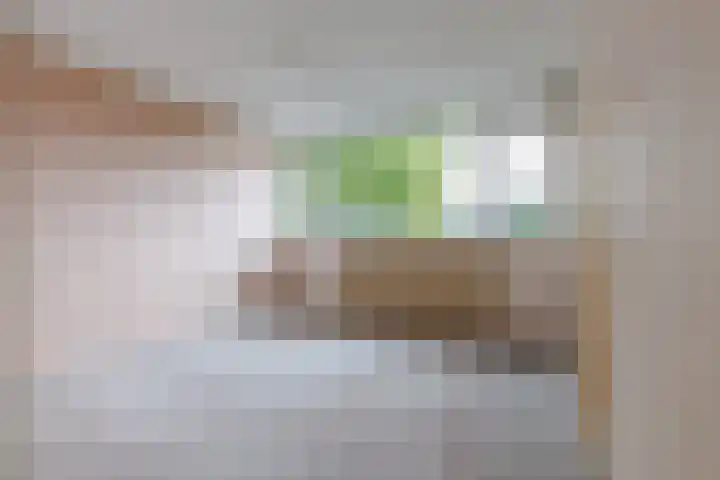 Ratelaar 32 Apeldoorn thumbnail 13