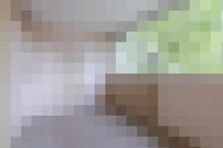 Ratelaar 32 Apeldoorn thumbnail 14