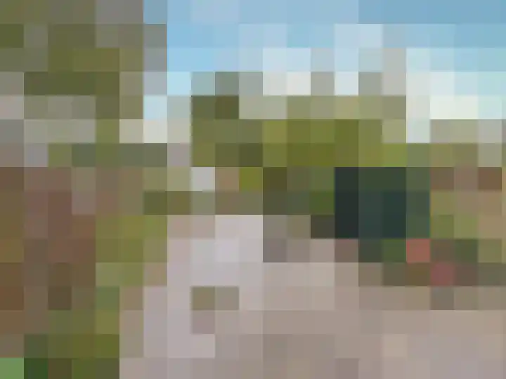 Ratelaar 32 Apeldoorn thumbnail 19