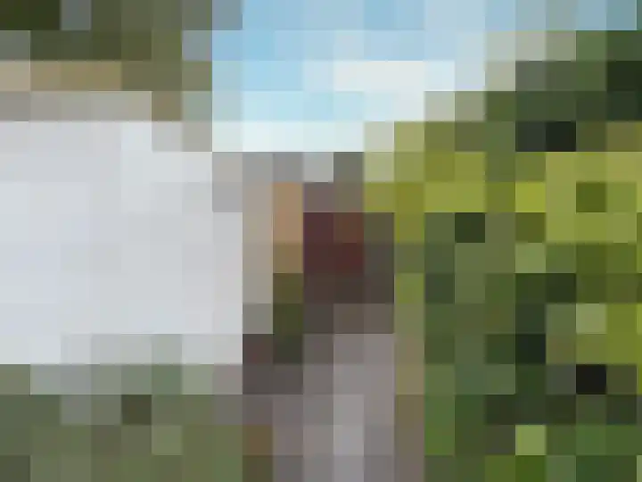 Ratelaar 32 Apeldoorn thumbnail 21