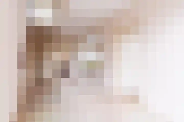 Ratelaar 32 Apeldoorn thumbnail 8