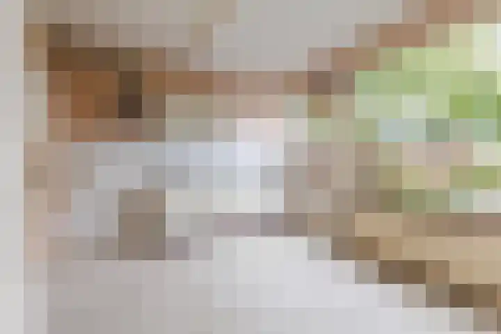 Ratelaar 32 Apeldoorn thumbnail 9