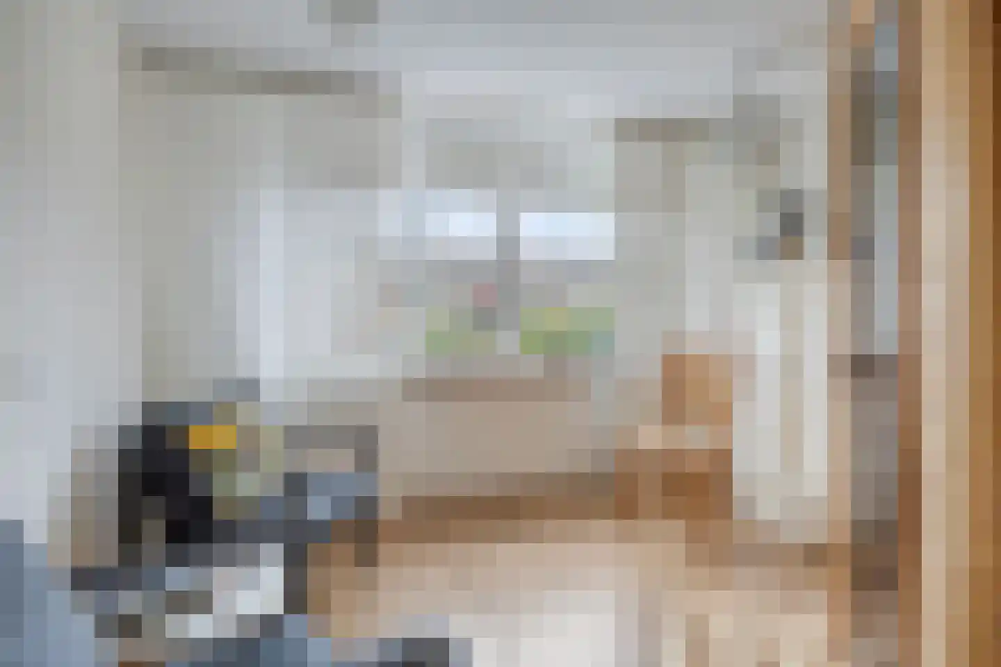 Ratelaar 32 Krimpen aan den IJssel thumbnail 18