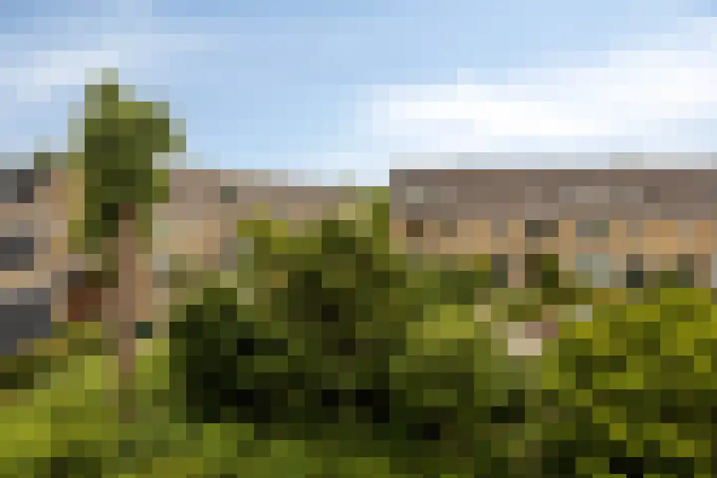 Ratelaar 32 Krimpen aan den IJssel thumbnail 24