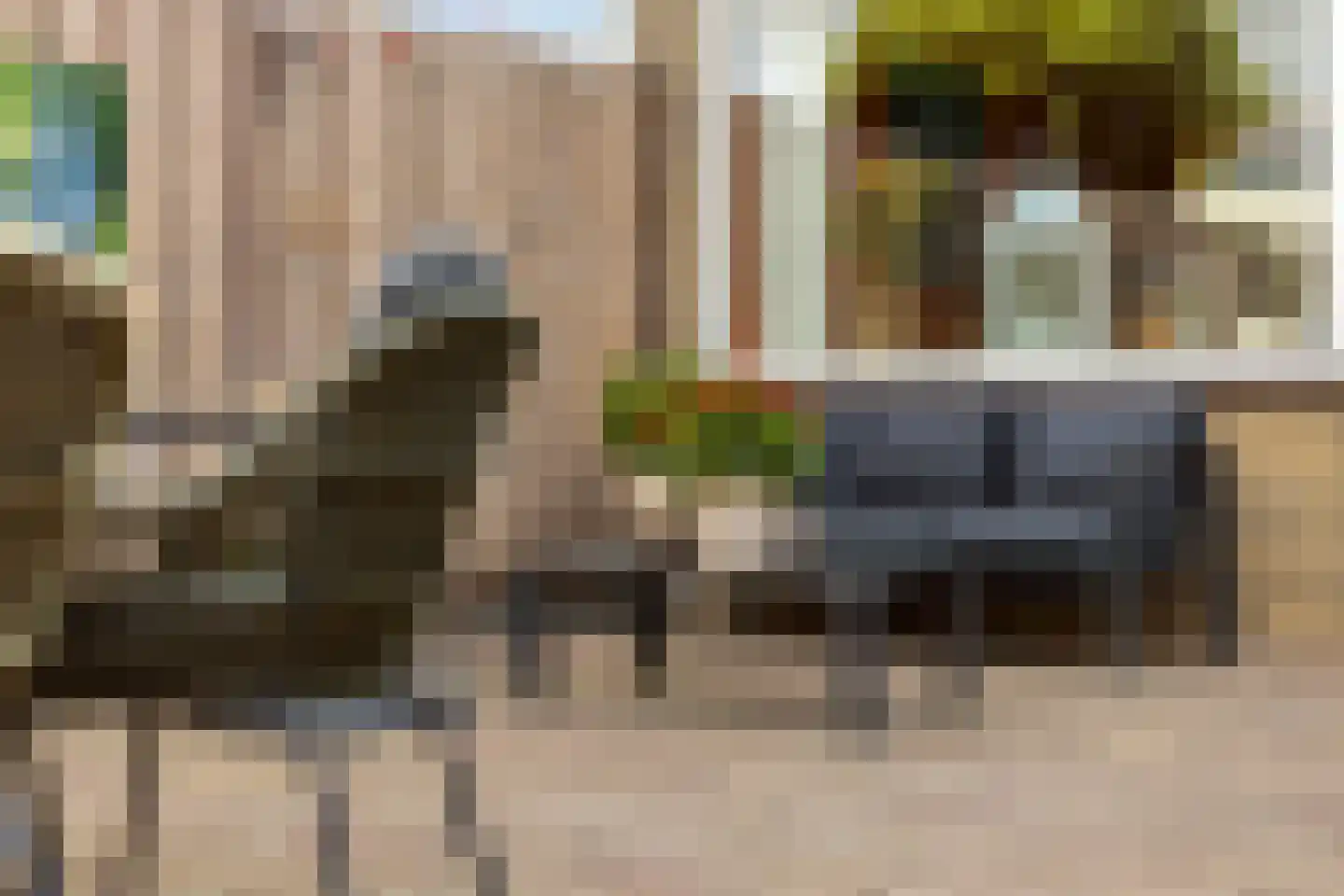 Ratelaar 32 Krimpen aan den IJssel thumbnail 26