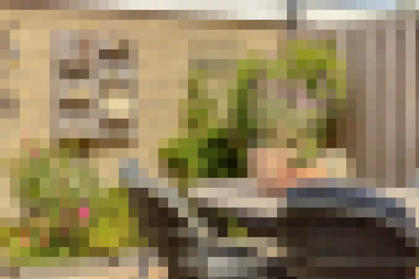 Ratelaar 32 Krimpen aan den IJssel thumbnail 27