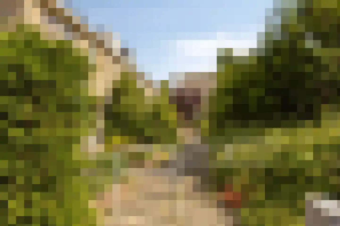 Ratelaar 32 Krimpen aan den IJssel thumbnail 28