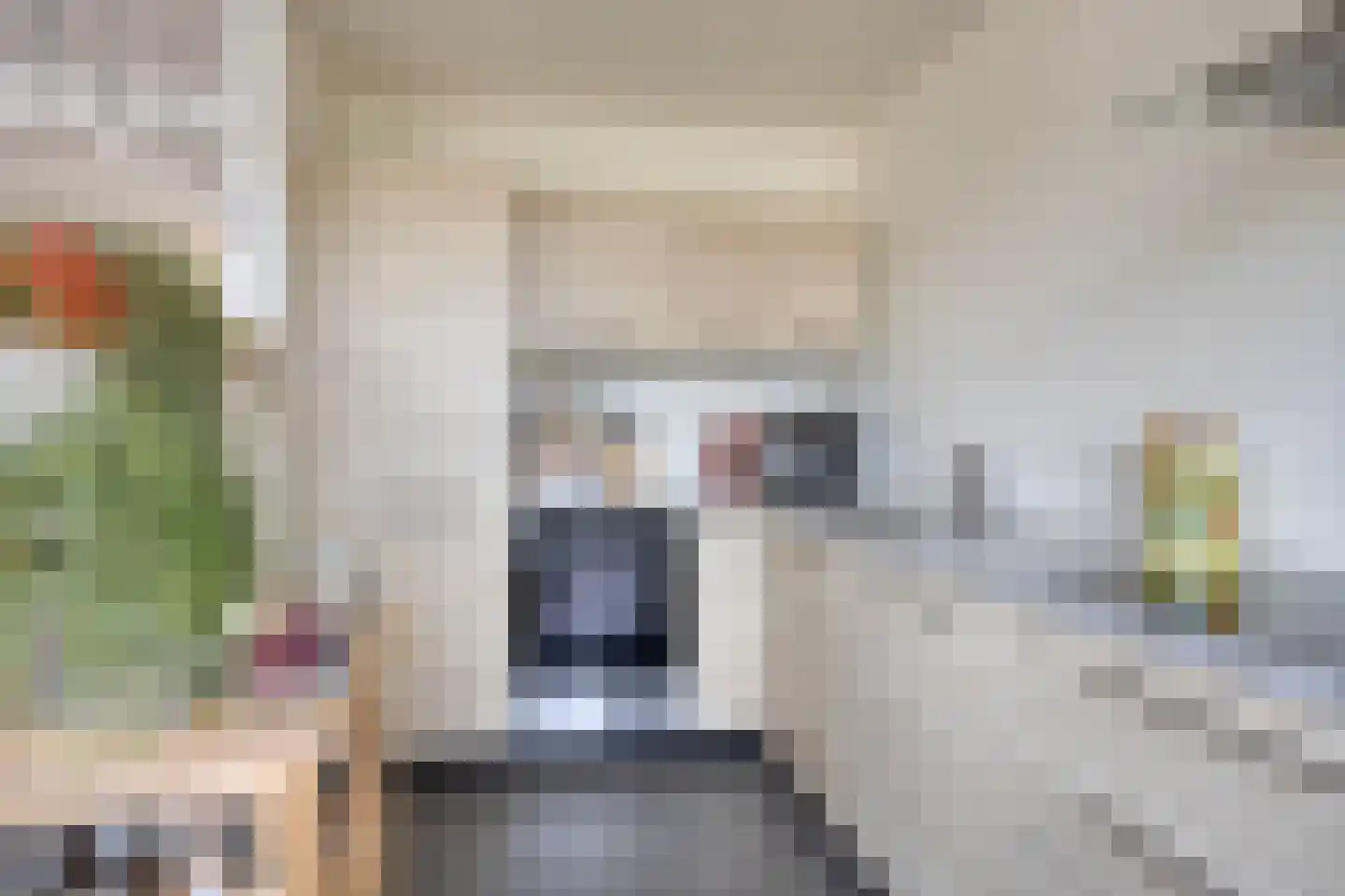 Ratelaar 32 Krimpen aan den IJssel thumbnail 4