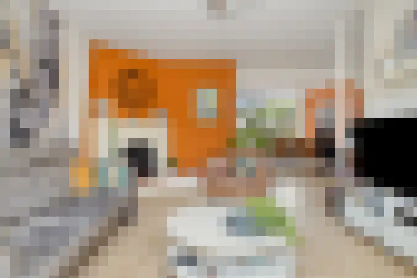 Ratelaar 32 Krimpen aan den IJssel thumbnail 5