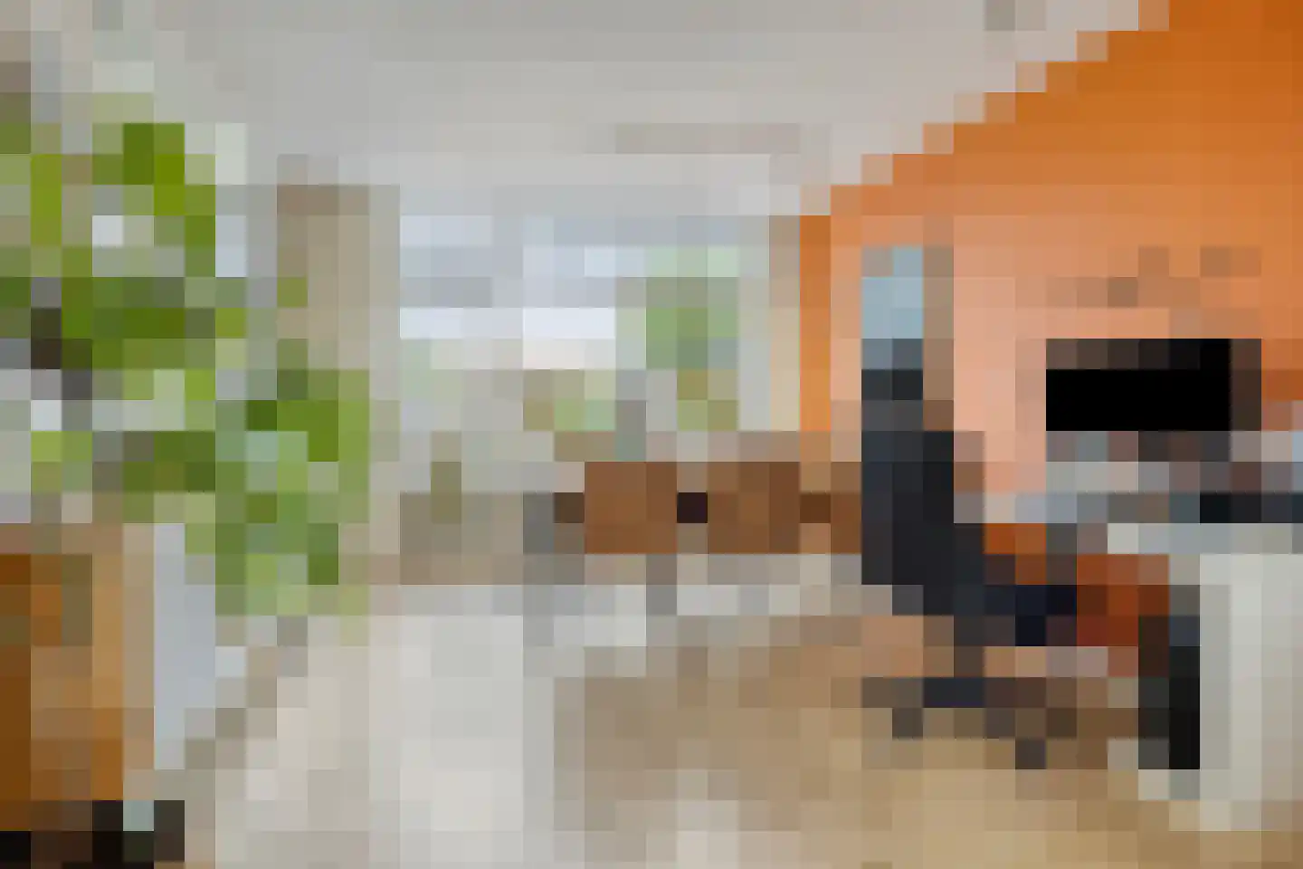 Ratelaar 32 Krimpen aan den IJssel thumbnail 7