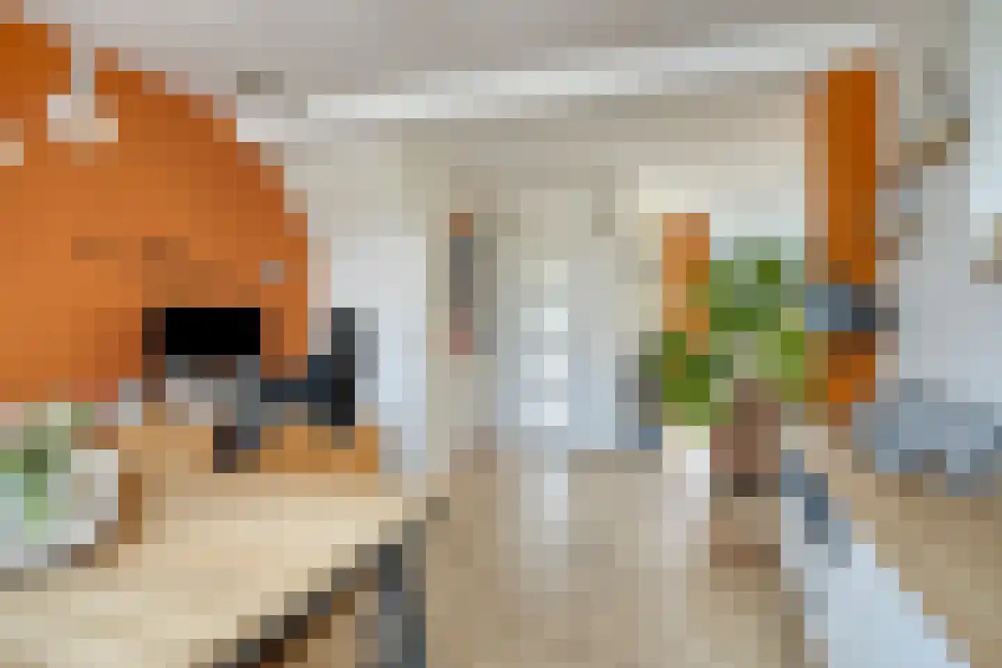 Ratelaar 32 Krimpen aan den IJssel thumbnail 8