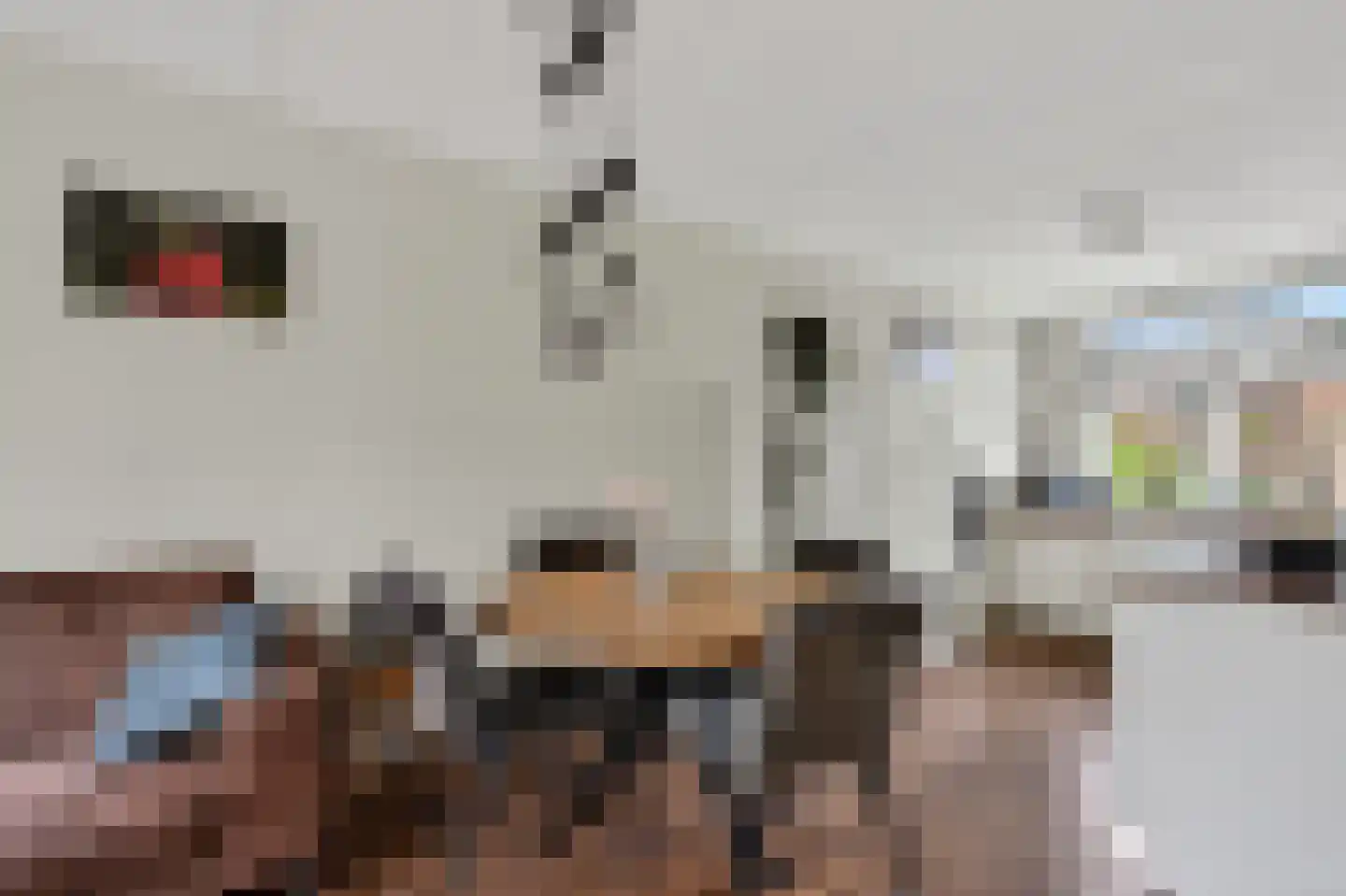 Ratelaar 33 Schoonebeek thumbnail 10