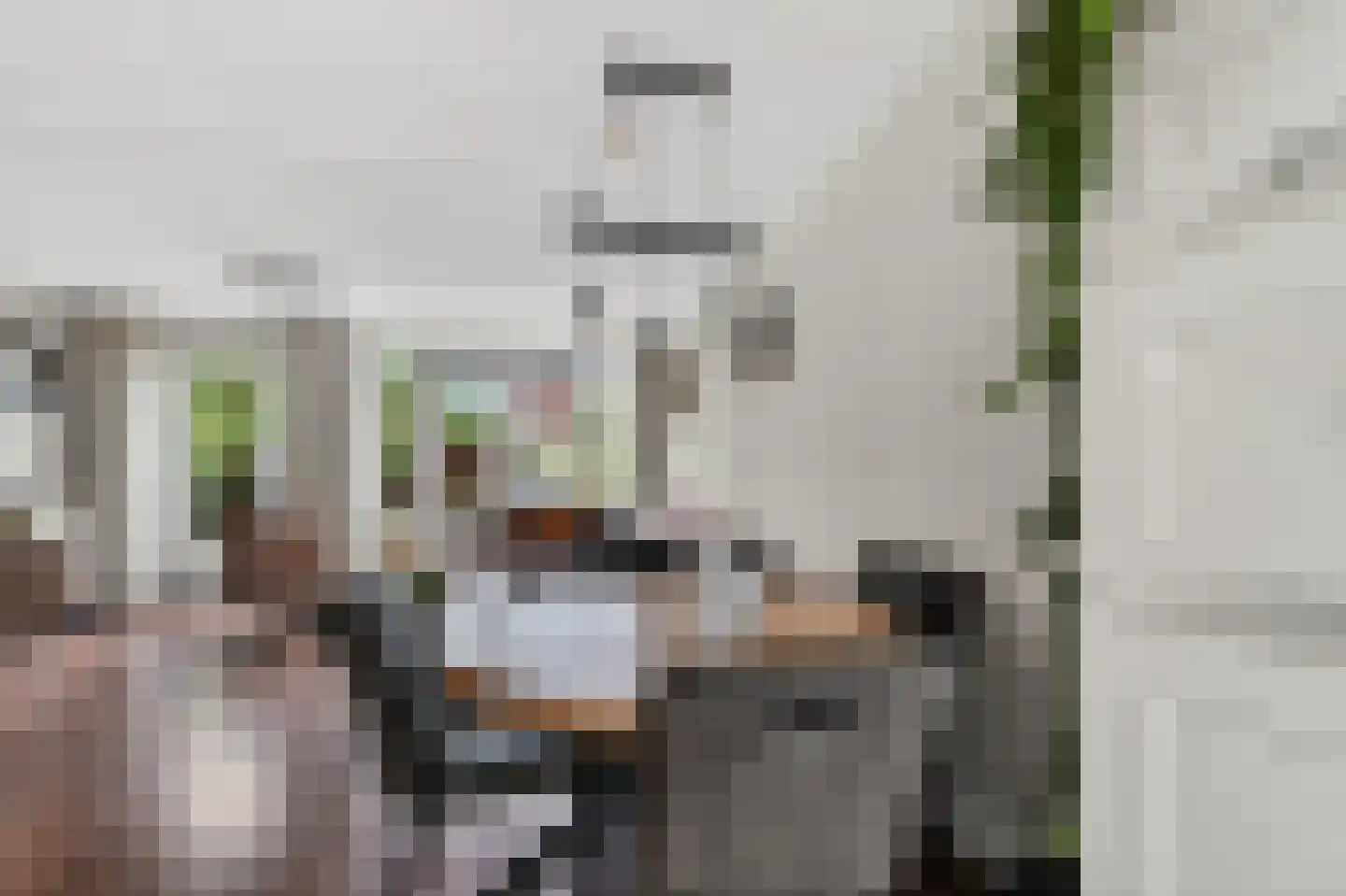 Ratelaar 33 Schoonebeek thumbnail 11