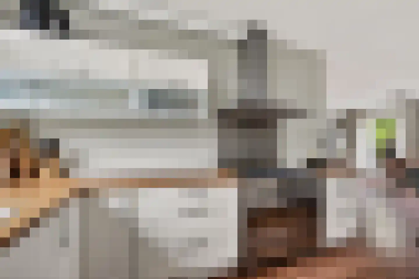 Ratelaar 33 Schoonebeek thumbnail 12