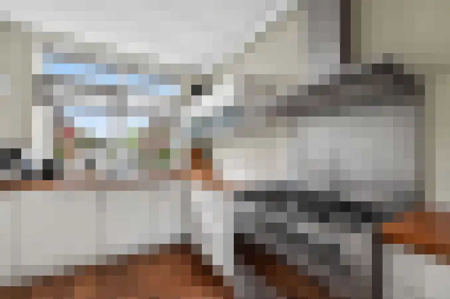 Ratelaar 33 Schoonebeek thumbnail 13