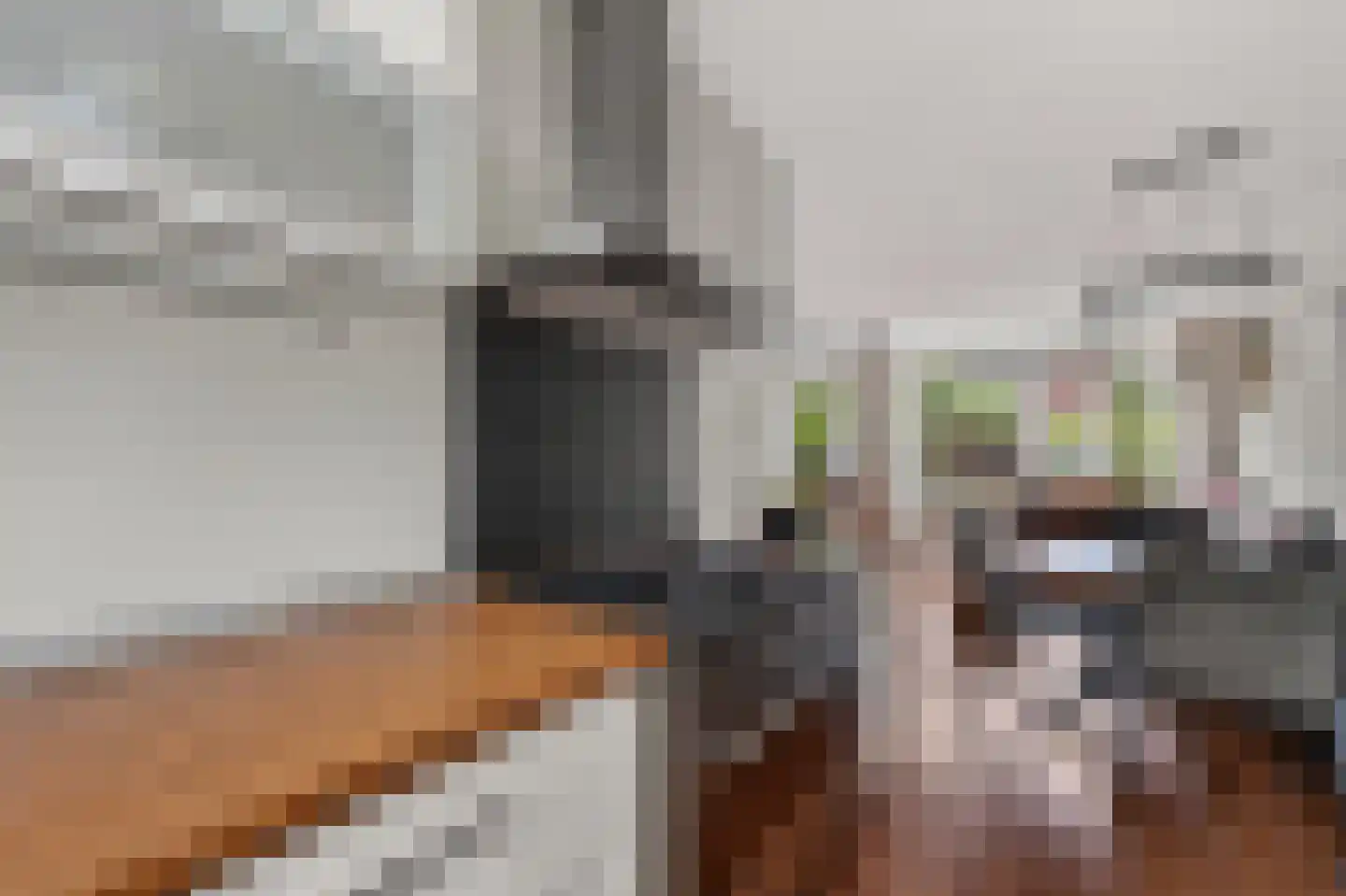 Ratelaar 33 Schoonebeek thumbnail 15