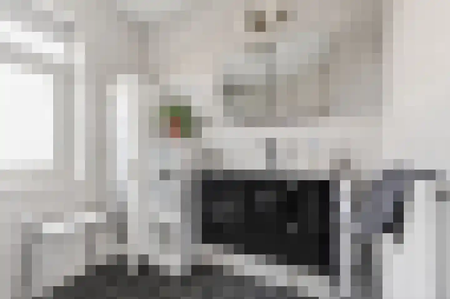 Ratelaar 33 Schoonebeek thumbnail 23
