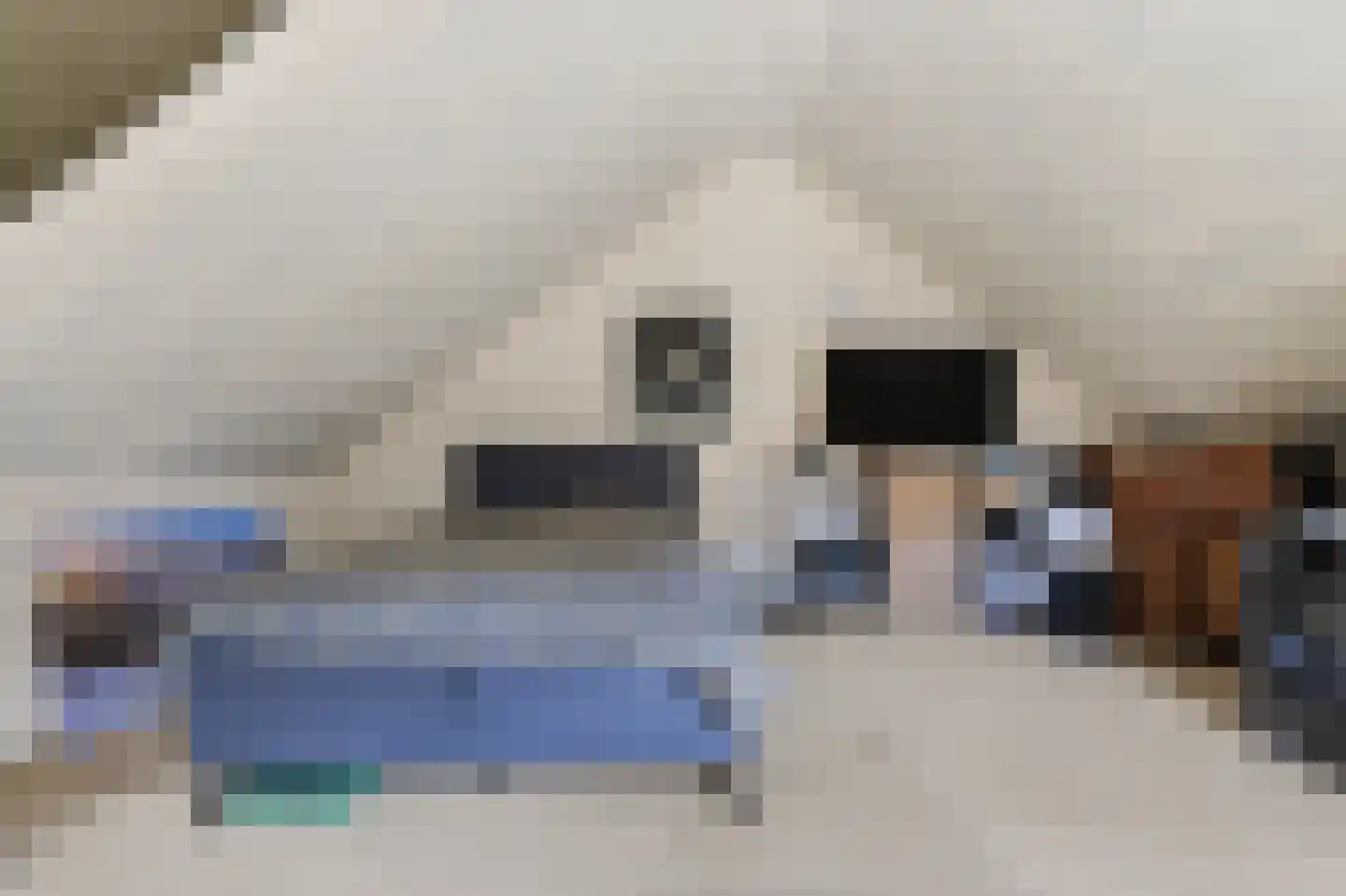Ratelaar 33 Schoonebeek thumbnail 25