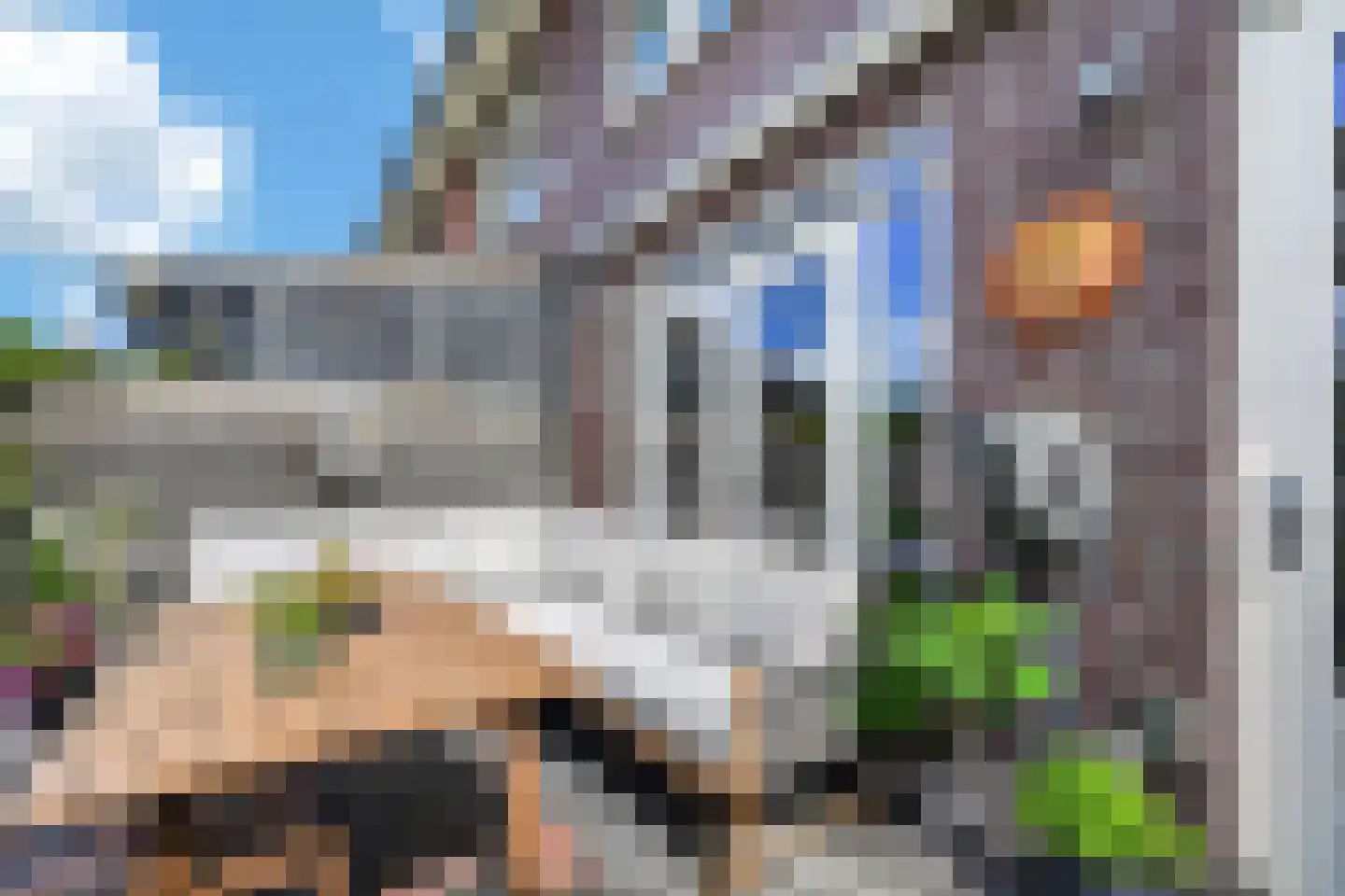 Ratelaar 33 Schoonebeek thumbnail 27