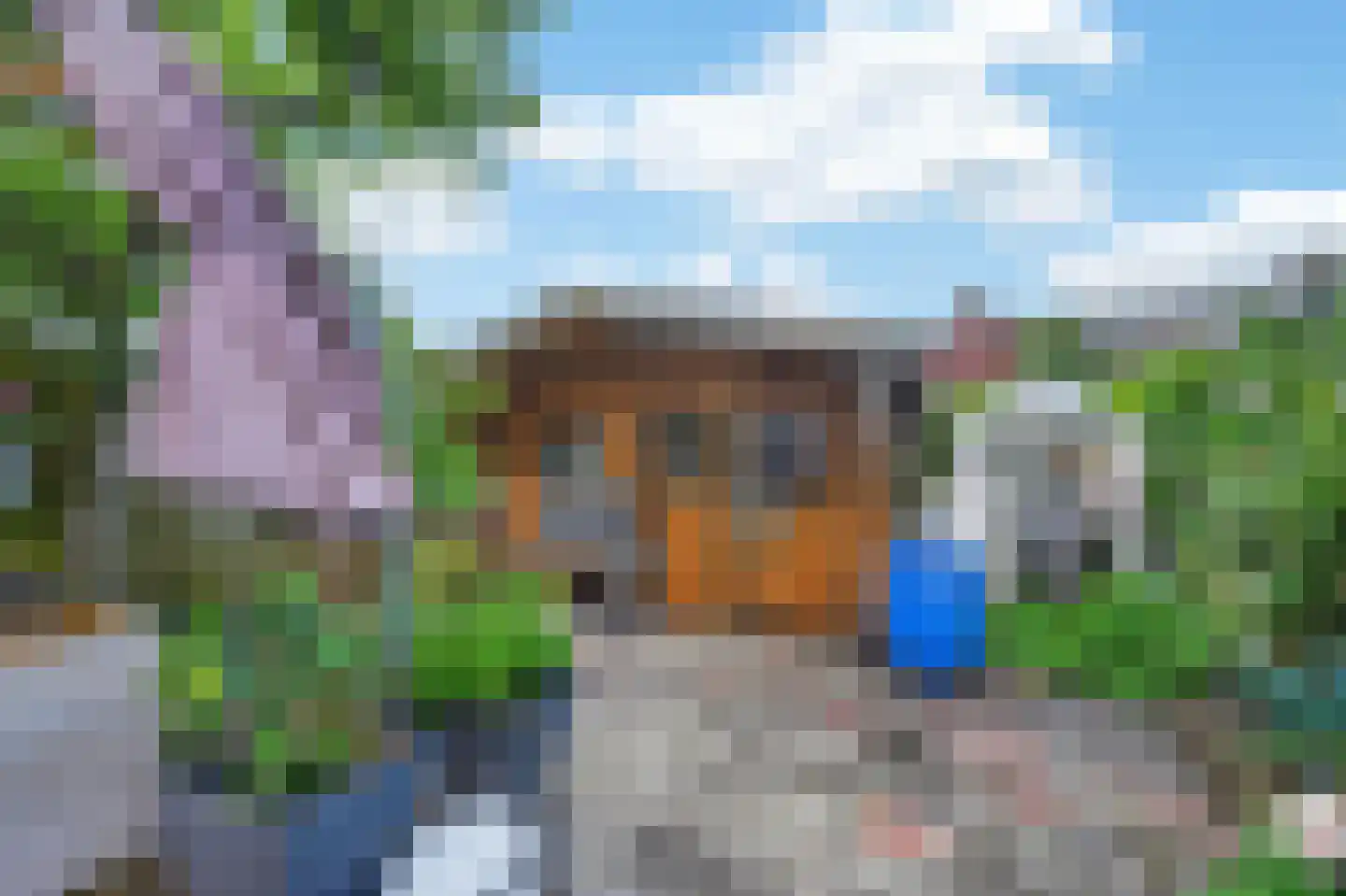 Ratelaar 33 Schoonebeek thumbnail 28