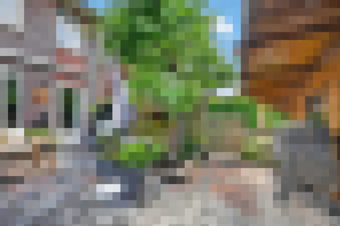 Ratelaar 33 Schoonebeek thumbnail 29