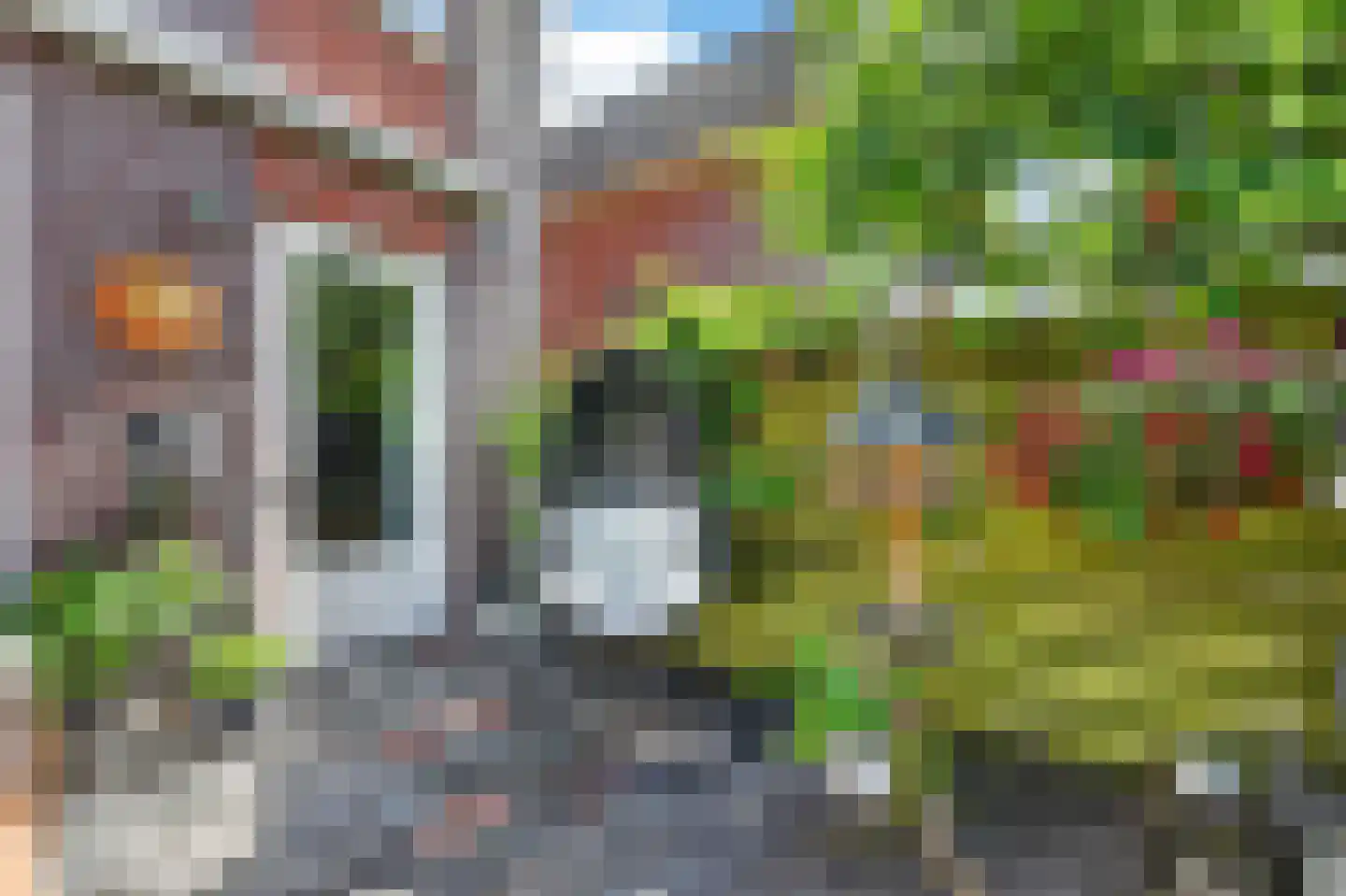 Ratelaar 33 Schoonebeek thumbnail 31