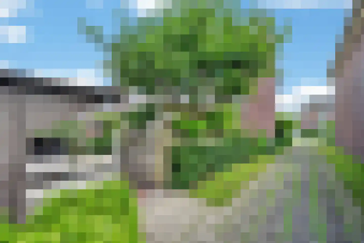 Ratelaar 33 Schoonebeek thumbnail 33