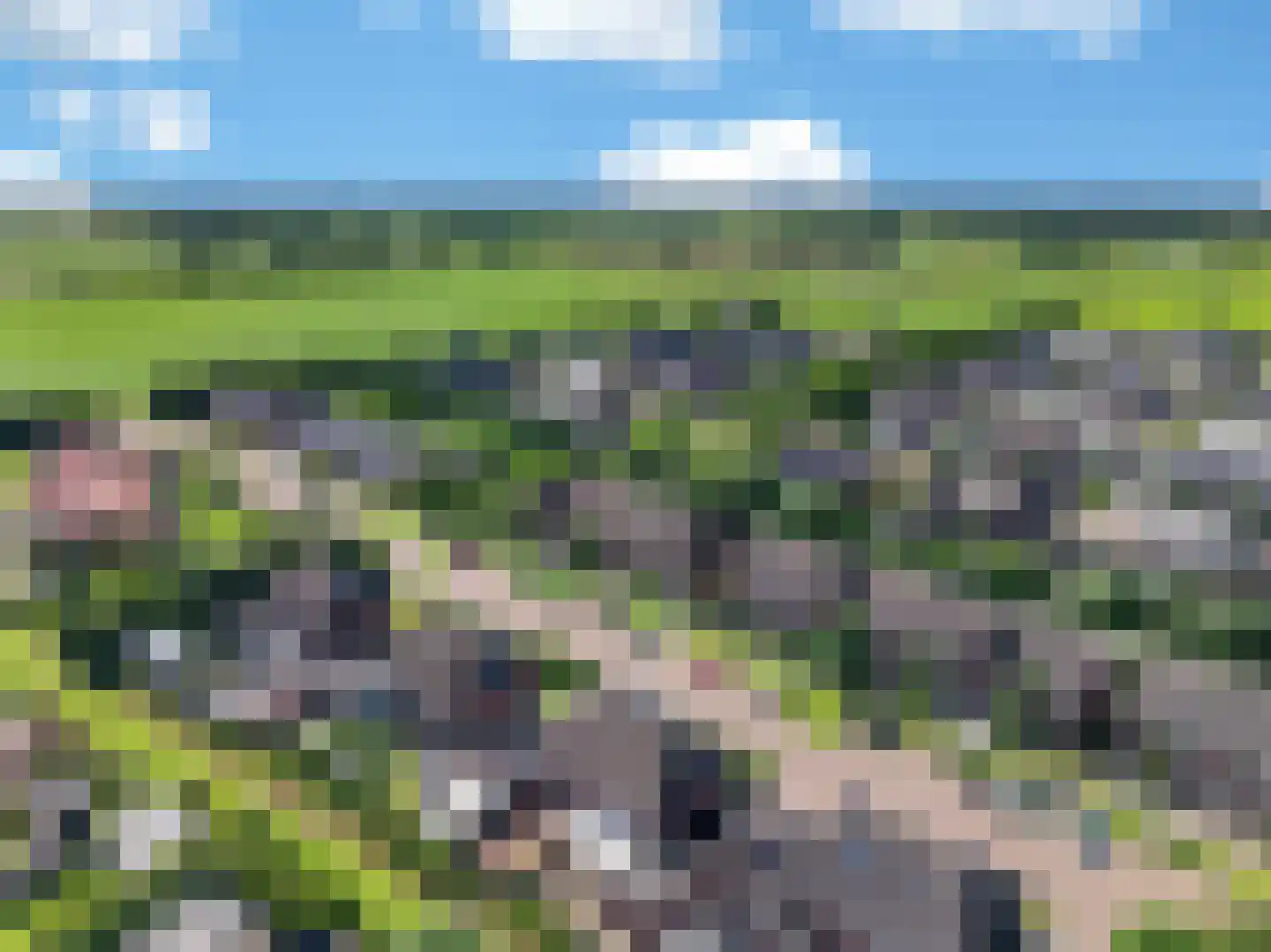 Ratelaar 33 Schoonebeek thumbnail 38