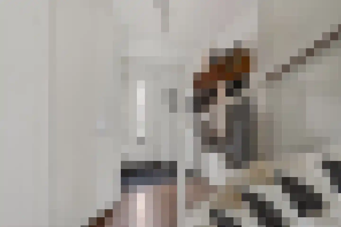 Ratelaar 33 Schoonebeek thumbnail 4