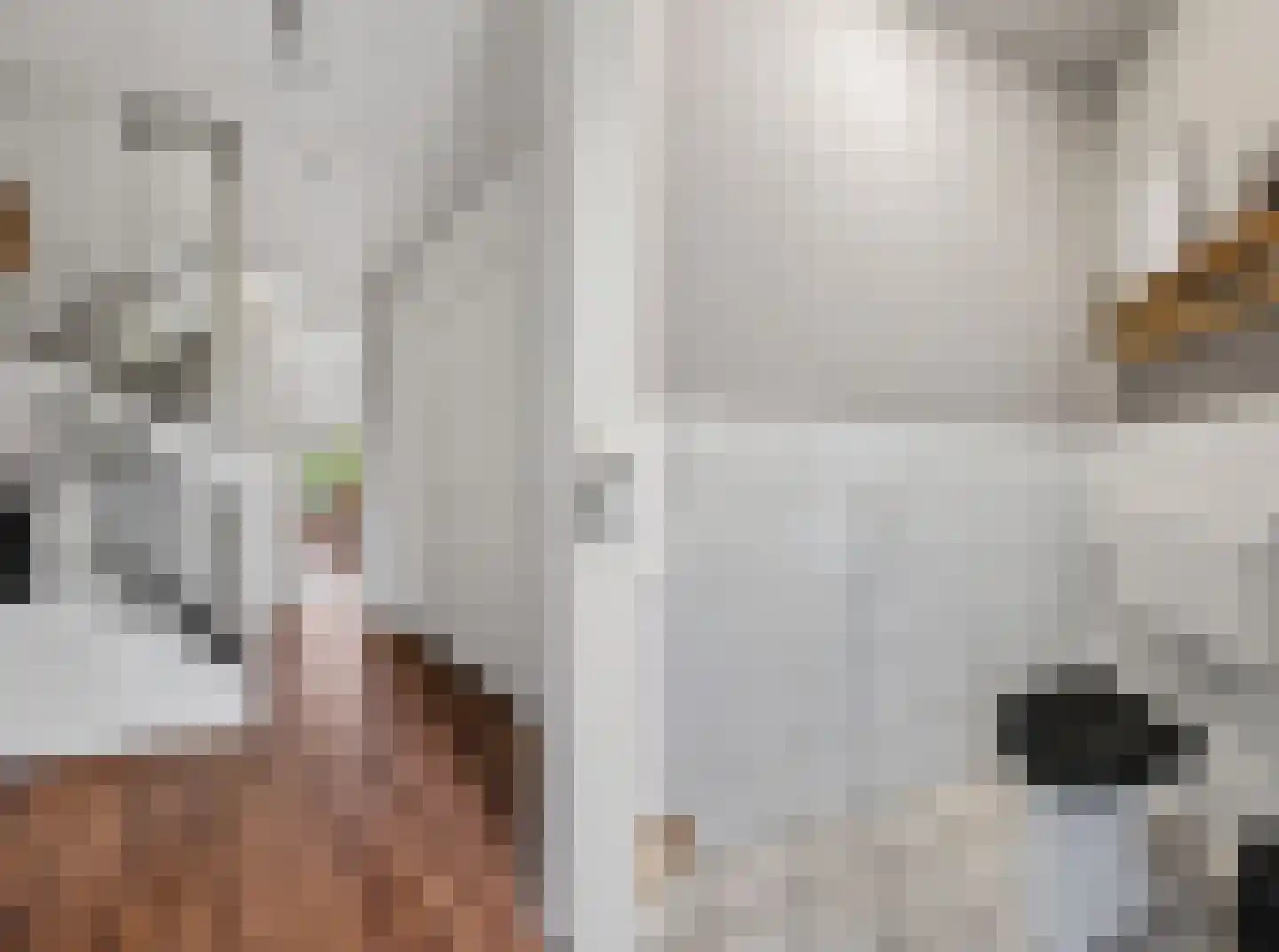 Ratelaar 33 Schoonebeek thumbnail 5