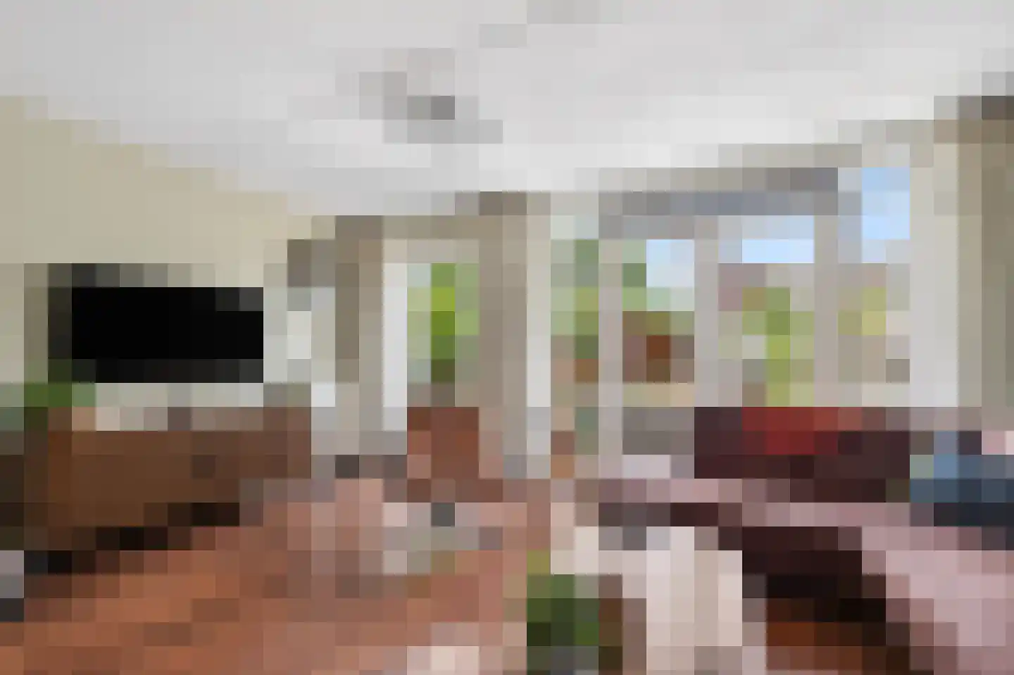 Ratelaar 33 Schoonebeek thumbnail 7