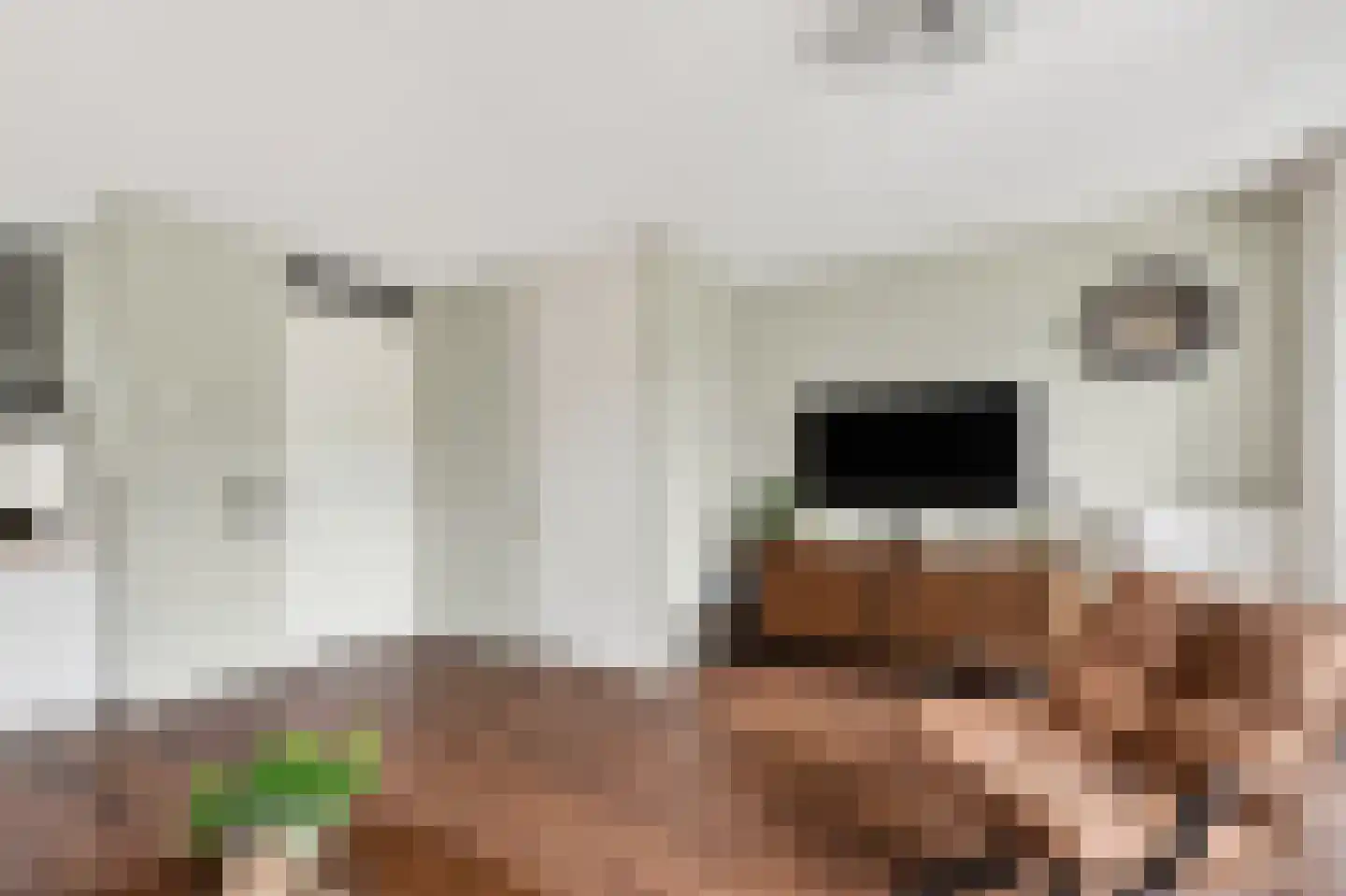 Ratelaar 33 Schoonebeek thumbnail 9