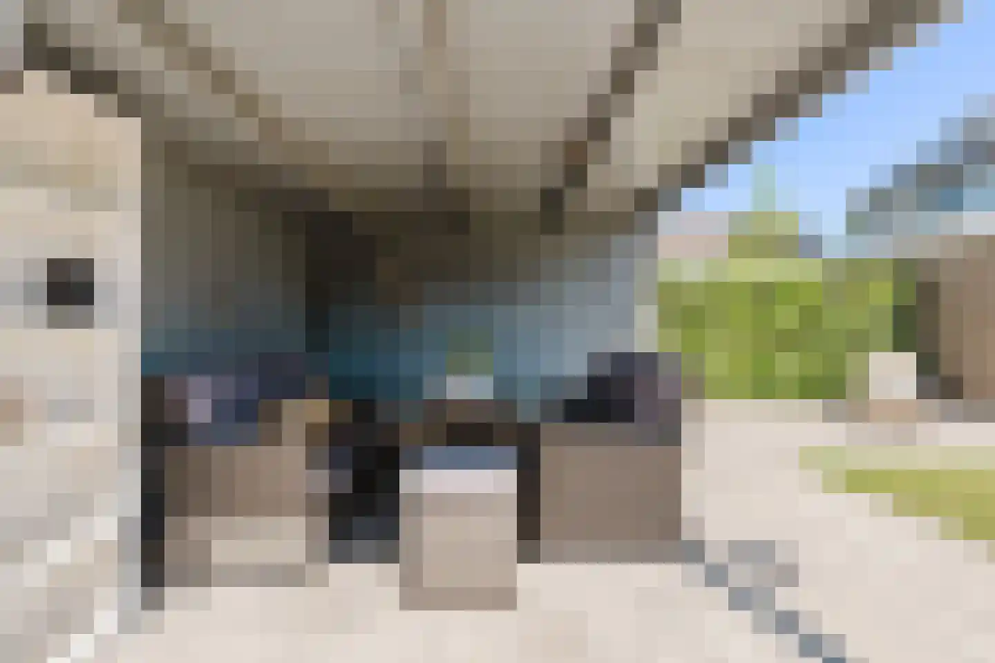 Ratelaar 34 Heerenveen thumbnail 27