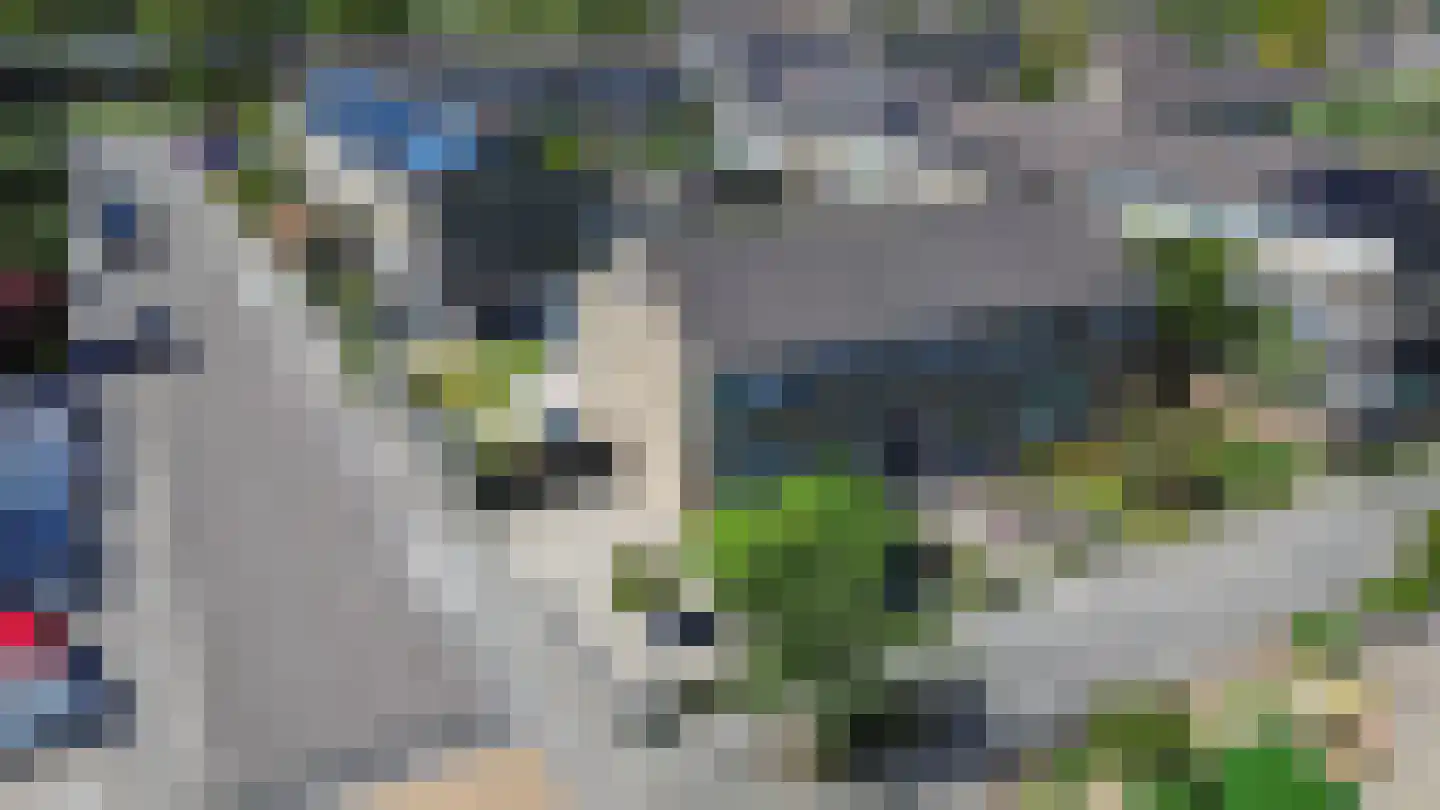 Ratelaar 34 Heerenveen thumbnail 5
